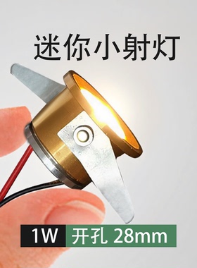 迷你小射灯1W开孔28mm展柜灯3cm小孔径led猫眼灯3公分超小层板灯