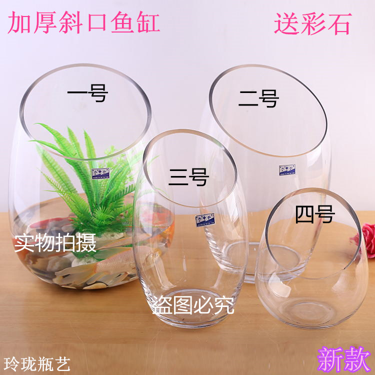 玻璃水培植物透明绿萝鱼缸包邮