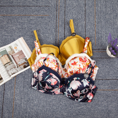 ms欧美奢华风精致真丝大罩杯文胸