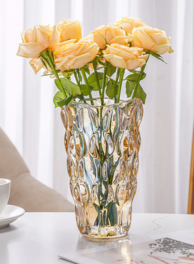 大号轻奢玻璃花瓶琥珀水养富贵竹鲜花客厅桌面高级感插花装饰摆件