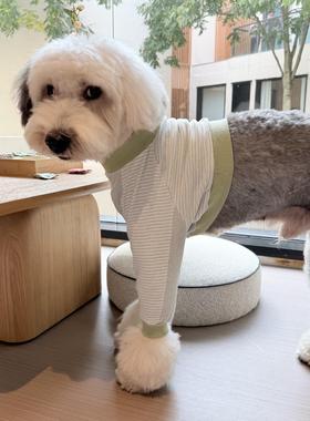 HippyPuppy绿条纹大型犬衣服宠物服装大狗纯棉护肘保护关节