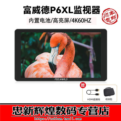 富威德P6XL6英寸内置电池监视器