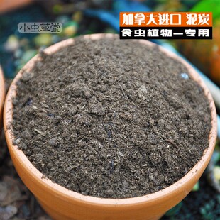 纯泥炭加拿大进口小虫草堂食虫植物专用营养土通用型泥炭土捕蝇草