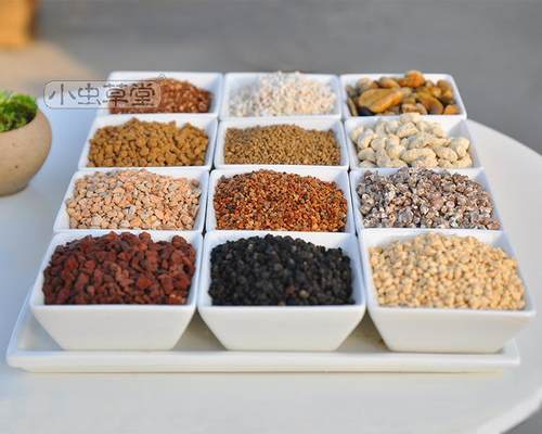 食虫植物基质麦饭石珍珠岩专用土