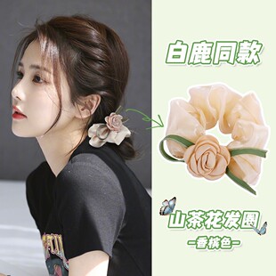 2026年春季 ins丝带高级感头绳大肠发圈气质扎马尾皮筋发绳Z 新款