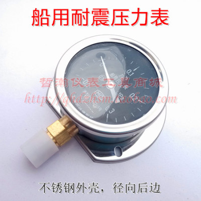 径向后边船用耐震压力表ytn60t