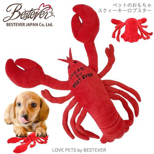 成幼犬日本益智宠物玩具