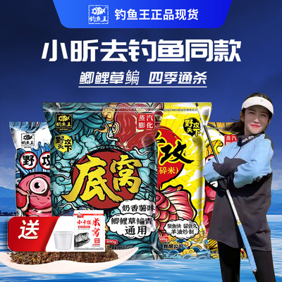 钓鱼王野功酒米野攻天下底窝一包搞定鲫鱼鲤鱼通杀小昕去钓鱼饵料