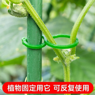 园艺8字扣植物捆绑扎带黄瓜茄子固定夹塑料园林绿植藤蔓夹葫芦圈