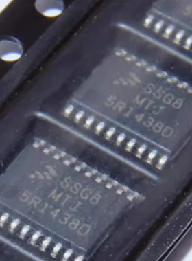 SSG8MTJ S9S08SG8E2MTJR TSSOP20脚 汽车电脑板微控制器IC芯片CPU