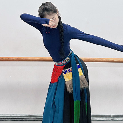 民族舞服装蒙古舞练功服女艺考藏族舞演出服套装大摆裙现代舞上衣