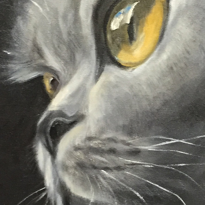 现代简约空间背景墙装饰画纯手绘油画猫主题动物作品现货挂画包邮