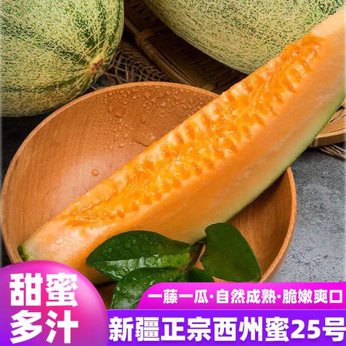 新疆吐鲁番哈密瓜超甜西州蜜25号