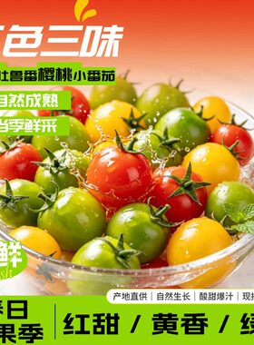 新疆吐鲁番多彩小番茄爆汁超甜