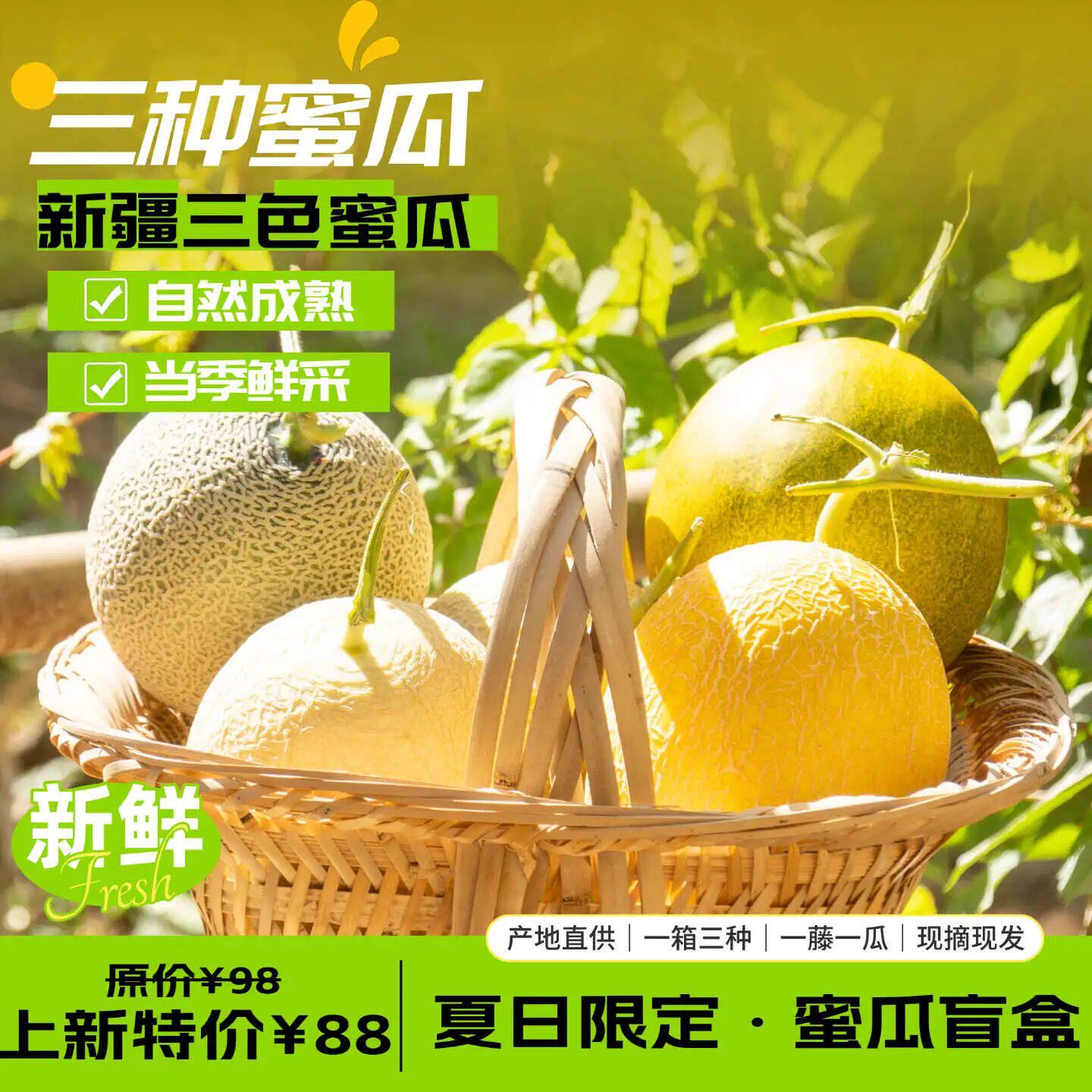 正宗新疆哈密瓜原产地发货吐鲁番三色密瓜盲盒三拼甜瓜脆甜多汁