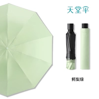 Свежий зеленый ★ Винил ★ Двойной назначен ★ (10 костей увеличены)