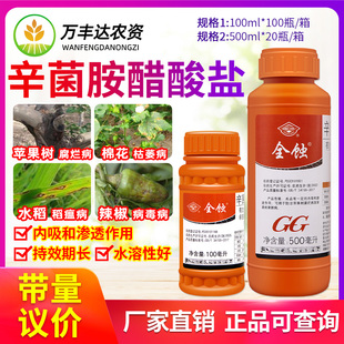 国光全蚀辛菌胺醋酸盐桃树流胶病苹果果锈腐烂枯病毒病农药杀菌剂
