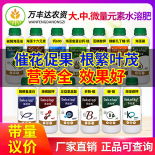 海藻磷钾流体硼钼糖醇悬浮钙酶解鱼蛋白钙镁左旋氨基酸水溶叶面肥