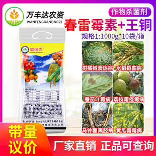 加瑞农春雷霉素王铜叶霉病霜霉病稻曲病黑胫病细菌病农药杀菌剂