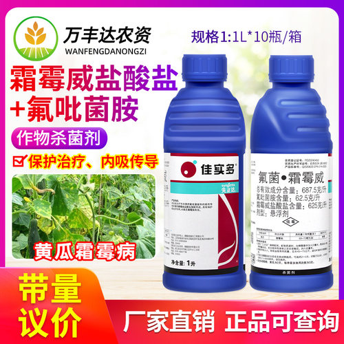 先正达佳实多氟吡菌胺霜霉威盐酸盐黄瓜霜霉病保护治疗农药杀菌剂