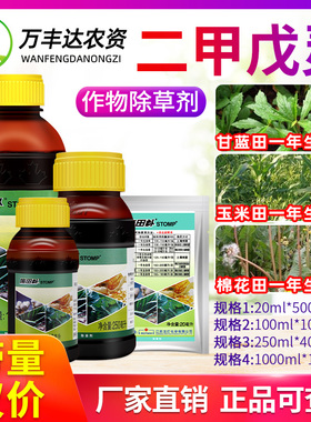 二甲戊灵龙灯施田补玉米花生播后苗前土壤喷雾杂草封闭专用除草剂