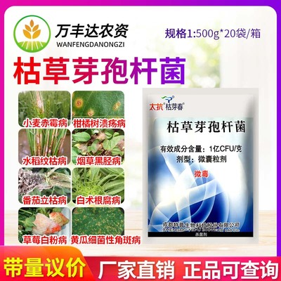 太抗枯芽春枯草芽孢杆菌杀菌剂