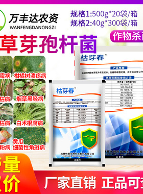 太抗枯芽春枯草芽孢菌杆菌白粉溃疡病纹枯赤霉病立枯根腐病杀菌剂