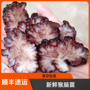 顺丰发货新鲜猴脑菌猴脑菇核桃菌玛咖菌500g袋真空包装黑松菌玛瑙