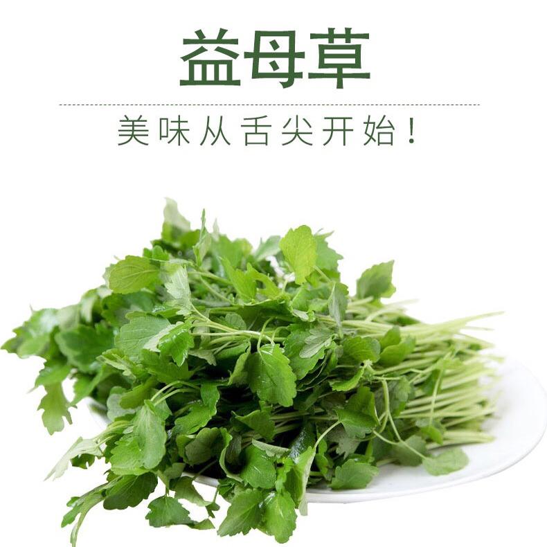 新鲜蔬菜现摘无公害500g