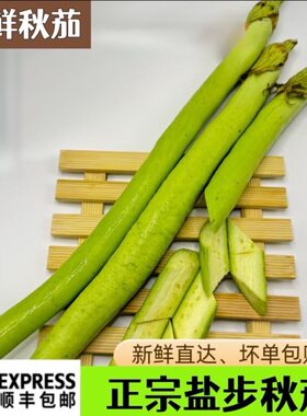盐步秋茄新鲜线茄观音手指广东特产秋茄子酒店专用特色食材500g
