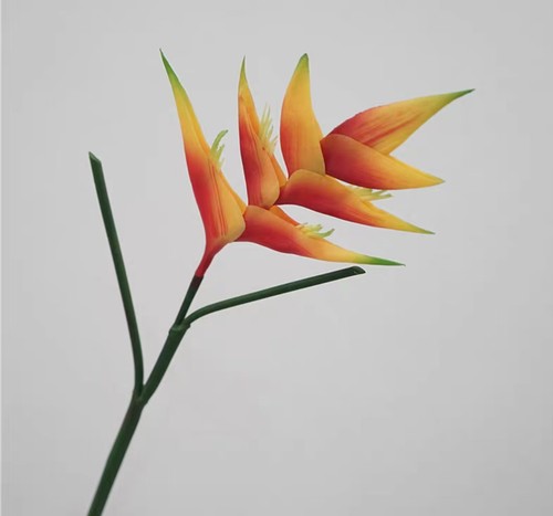 英伦欧堡高品质热带植物垂鸟橱窗装饰品婚庆装饰墙配植物仿真假花