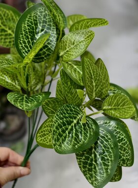 仿真水草龟鱼缸布景植物水族箱鱼缸塑料造景装饰品树脂沉木景观
