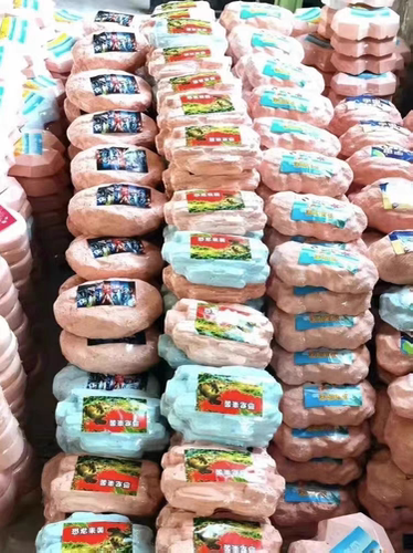 考古挖掘恐龙化石宝石儿童宝藏