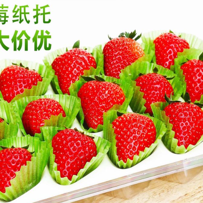草莓绿色包装纸托水果店草莓采摘园装饰油纸托纸杯蛋糕纸托1千装