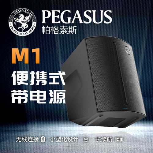 PEGASUS帕格索斯M1便携式电池有源音箱多功能街头弹唱音响可充电