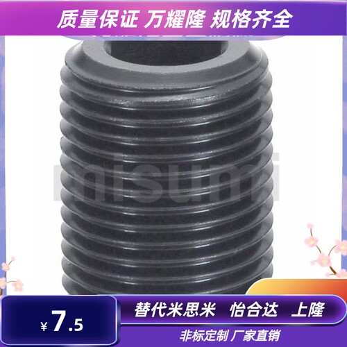 LVWM/LVFWM12/16/20/24/30-10/15/20/25/30/35/40 镀镍调整螺丝