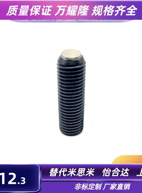 平面半珠锁紧螺丝FSMB6/8/10/12/16-10/12/16/18/20/30/35/40/50