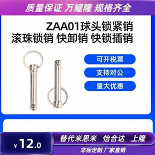 L10 60锁紧销 1216 ZAA01