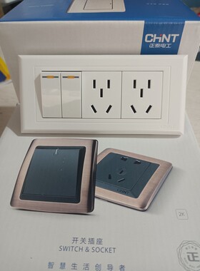 118型正泰118型二插双控开关