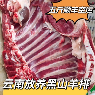 云南新鲜现宰放养黑山羊排带羊腿5斤（云南农货直播代购选肉）