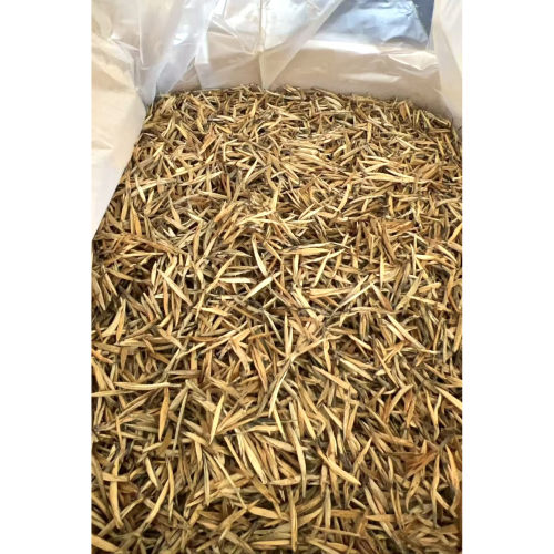 2026年云南特产红茶大金针