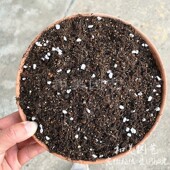 包邮 营养土 5包起 松软透气草炭泥炭土 种菜养花科学配置有机土