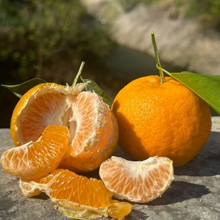 椪柑湖南湘西正宗芦柑带箱10斤装新鲜水果过年橘子长官镇小溪柑子