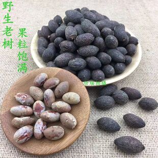 葵树子粒老树子中药材野生蒲葵子葵扇籽 葵树籽 葵扇 蒲葵籽500克