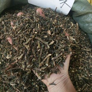 石油菜中药材干石油菜石觅菜胖猪菜打不死疳积草中草药