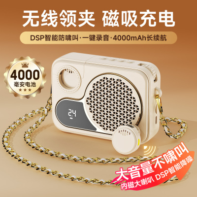 【讲课不累嗓】无线扩音器防啸叫