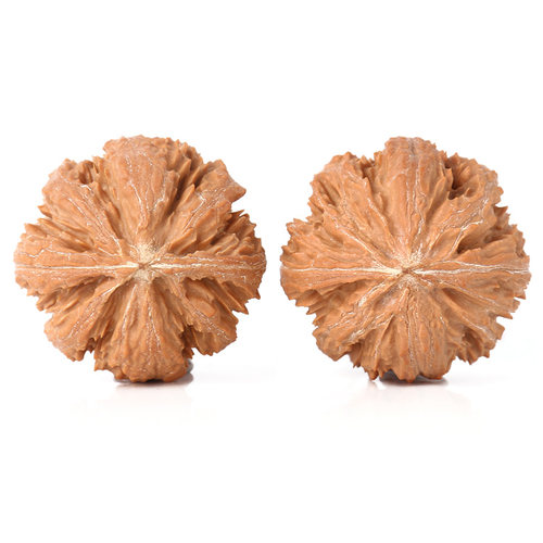 野外生文玩手捻核桃京八棱粗筋