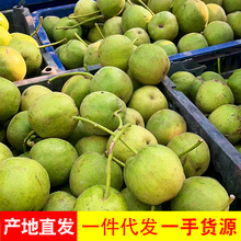 青皮蛤蟆头文玩核桃三棱四座楼狮子头磨盘宫灯苹果盘玩手把件官帽