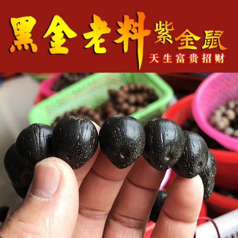 紫金鼠原皮招财鼠金钱籽