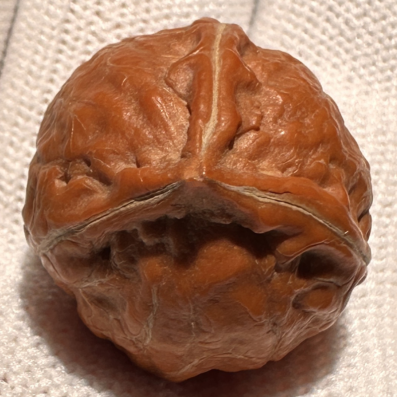 手把件小三四棱尺寸22-25mm核桃文玩桃核正奔精品狮子头三通穿串